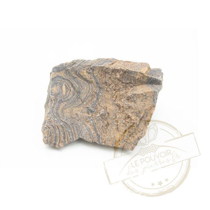 Pierre Stromatolite Vertus signification et bienfaits de cette pierre